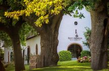 Stellenbosch Winelands Connoisseur Day Tour with Private Transfer