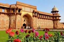 Golden Triangle Tour 3 Nights 4 Days : { Taj Mahal at Sunrise }