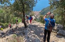 Private walking tour of Amalfi & Atrani hamlets discovering amazing landscape