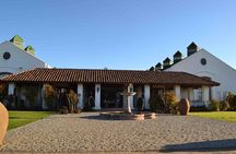 Santiago Full day tour to Casablanca Valley, include entraces for 2 vineyard.