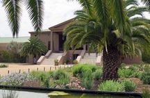 Santiago Full day tour to Casablanca Valley, include entraces for 2 vineyard.