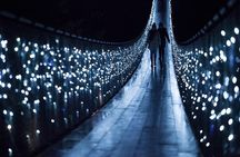 Explore Vancouver City & Capilano Suspension Bridge Canyon Lights