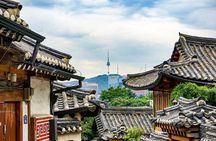 Private Seoul City Tour