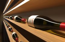 The Ultimate Penfolds Magill Estate Wine & Underground Cellar Tour