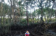 Private Proboscis Monkey, Water Village & Bandar by Night Tour