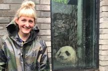 Dujiangyan Panda Volunteering Experience with Lunch