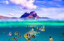 Full-Day Bora Bora Lagoon Cruise Including Snorkeling with Sharks and Stingrays