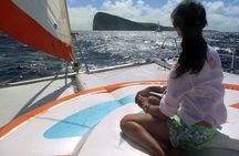 Ilot Gabriel Catamaran Cruise in Mauritius