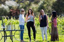 A Taste of Margaret River Seaplane Tour