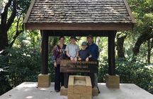 1 Day Private Tour Doi Inthanon And Phachor Canyon
