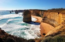 Great Ocean Road Coastal Spectcular with Wildlife Wonders