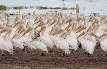 4 Days 3 nights Tanzania Classic Lodge Safari Tarangire, Lake Manyara,Ngorongoro