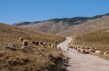 Lukomir Village Tour - From Sarajevo