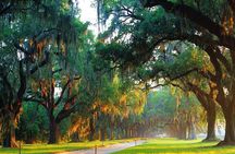 Boone Hall Plantation All-Access Admission Ticket