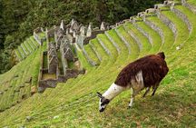 2 Day - Short Inca trail to Machu Picchu - Private Services