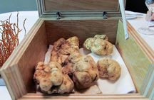 La Morra Truffle Hunting Tour Experience