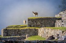 5 Day - Tour to Machu Picchu Traditional - Group service