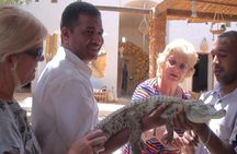 4-day private tour of Luxor, Aswan and Abu Simbel Historic Sites