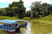 4-Day Adventure in Tortuguero National Park 