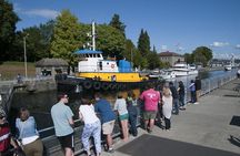 Seattle City and Snoqualmie Falls Half-Day Guided Tour 