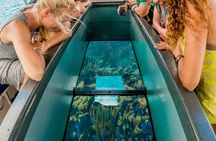 Private Glass bottom reef tour to Klein Bonaire