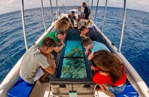 Private Glass bottom reef tour to Klein Bonaire