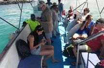 8 Day Galapagos Adventure in San Cristobal, Santa Cruz & Isabela