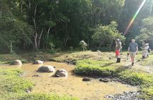 5-Day Guided Galapagos & Los Tuneles Tour