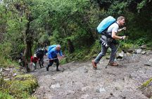 7-Day: Inca Trail Trek to Machu Picchu Group Tour