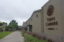 PRIVATE TUR: Caroya WineTour HalfDay