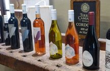 PRIVATE TUR: Caroya WineTour HalfDay