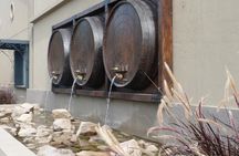 PRIVATE TOUR: History and Wines Fullday