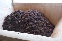 PRIVATE TOUR: History and Wines Fullday