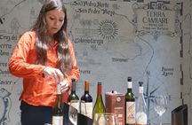 PRIVATE TOUR: History and Wines Fullday