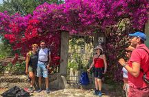 Private Tour: The Path of the Lemons