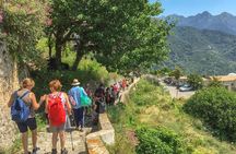 Private Tour: The Path of the Lemons