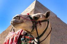 Pyramids of Giza & Saqqara complex