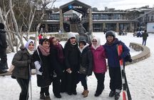 Mount Buller Snow Day Boutique Trip - Max 11 People