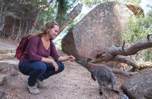 Hobart to Launceston via Wineglass Bay - Active one-way Day Tour