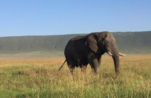 3 days leopard safaris