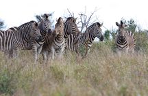 2 Days Lake Nakuru Safari