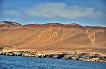 Ballestas Islands Group Tour from San Martin Port