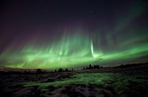 Northern Lights Husky Visit