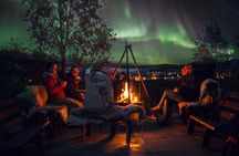 Northern Lights Husky Visit