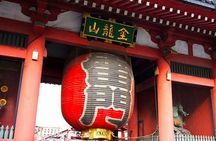 Private Tokyo Custom Full-Day Tour by Chartered Vehicle