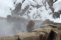 Explore Jigokudani Snow Monkey Park with a Local Guide