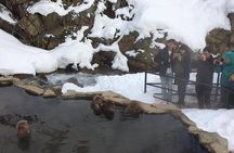 Explore Jigokudani Snow Monkey Park with a Local Guide