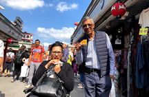 Full-Day Accessible Tour of Tokyo for Wheelchair Users
