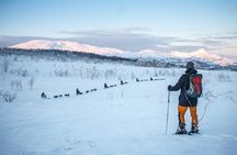 Guided Morning Snowshoe Hike with Huskies