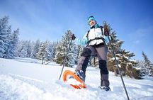 Guided Morning Snowshoe Hike with Huskies